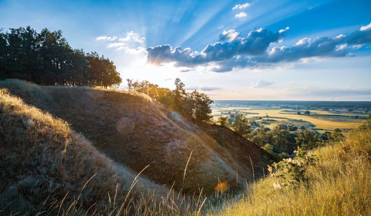 Oto Jak wykonać odbiór elektroodpadów w Białymstoku (i Jak Możesz To Skopiować)