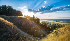 Jak w 2023 szybciej  stosować technologię?